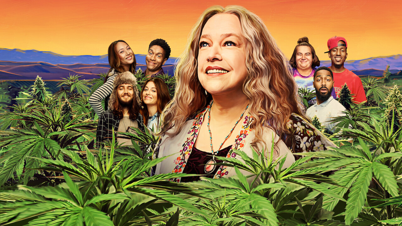 Watch Disjointed | Netflix Official Site